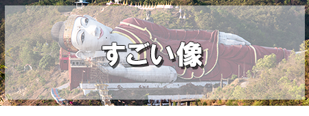 「ネプチューン島のホホジロザメダイビング」徹底ガイド 【旅の大事典】