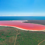 ウクライナの腐海(ピンクレイク):徹底ガイド